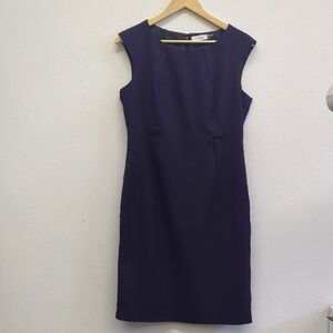 Calvin Klein Elegant Purple‎ Sleeveless Dress size Small